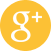 Google Plus